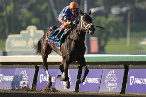 2024 Kentucky Derby Odds, 150th Derby Odds at VegasInsider.